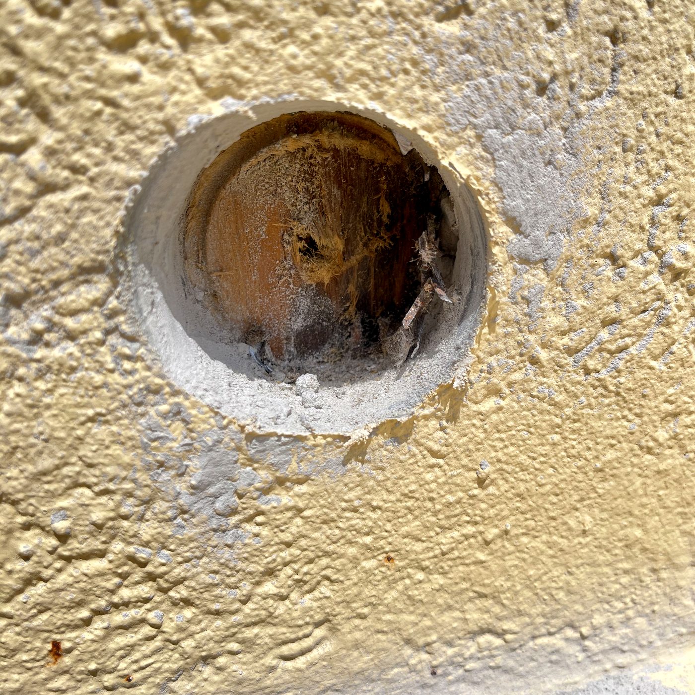 Small targeted discovery hole through stucco showing wet wood substrate