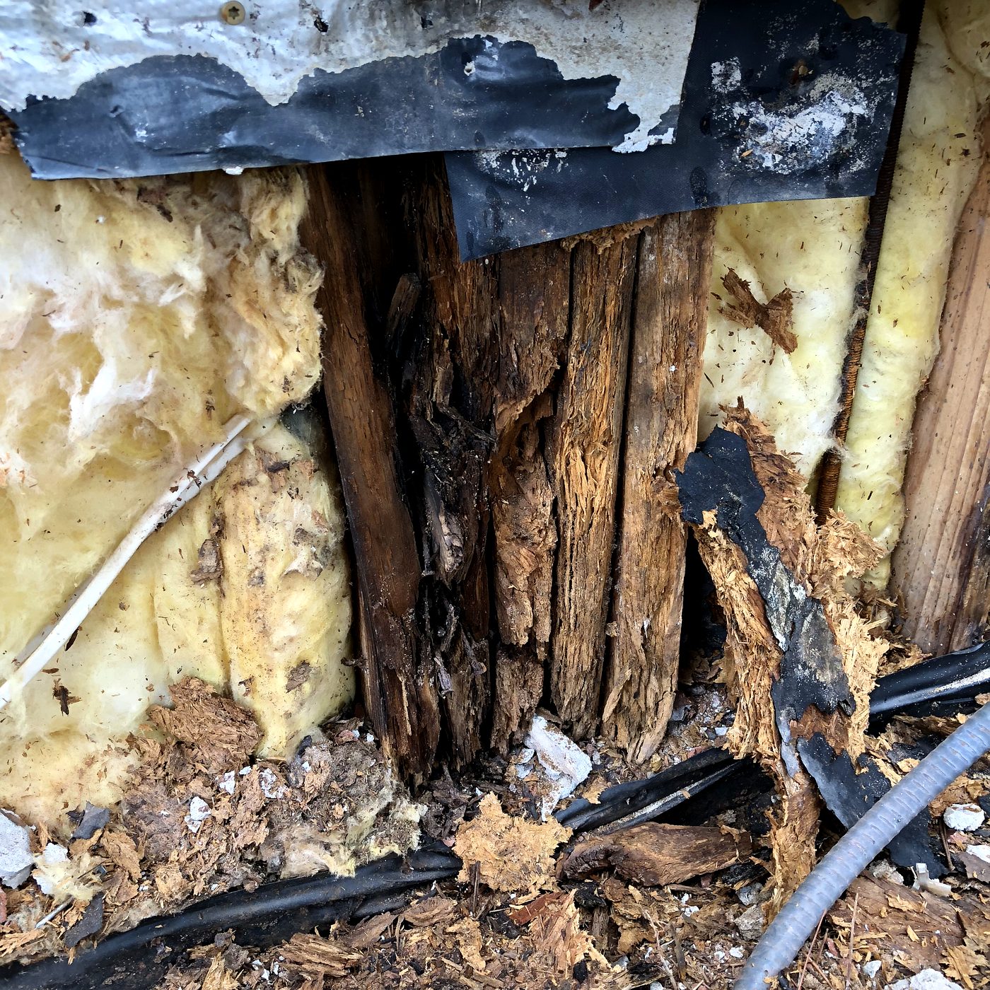 Close-up of rotted yellow pine framing studs and saturated insulation behind stucco cladding