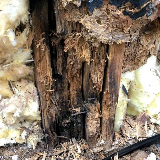 Coastal Florida wood rot / moisture damage / repair project photo