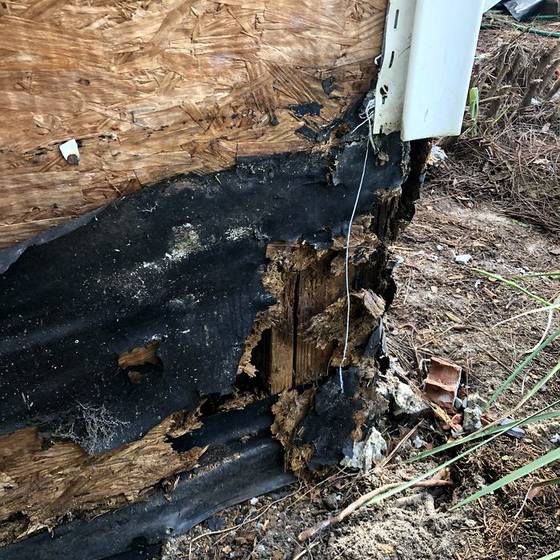 Coastal Florida wood rot / moisture damage / repair project photo