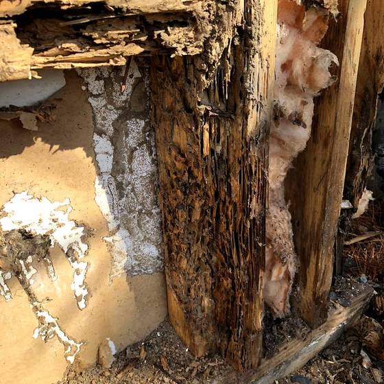Coastal Florida wood rot / moisture damage / repair project photo