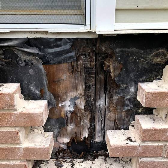 Coastal Florida wood rot / moisture damage / repair project photo