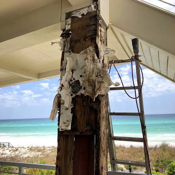 Coastal Florida wood rot / moisture damage / repair project photo