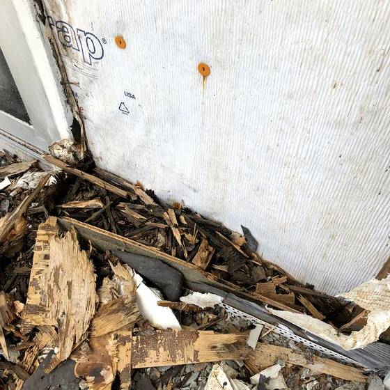 Coastal Florida wood rot / moisture damage / repair project photo