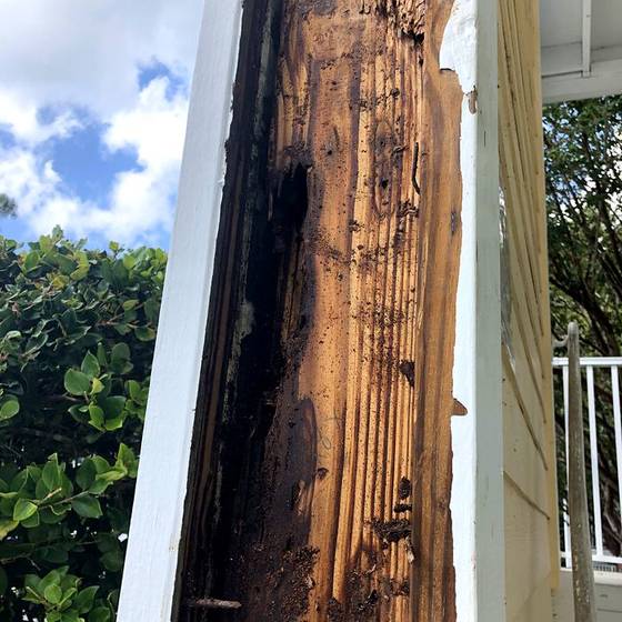 Coastal Florida wood rot / moisture damage / repair project photo