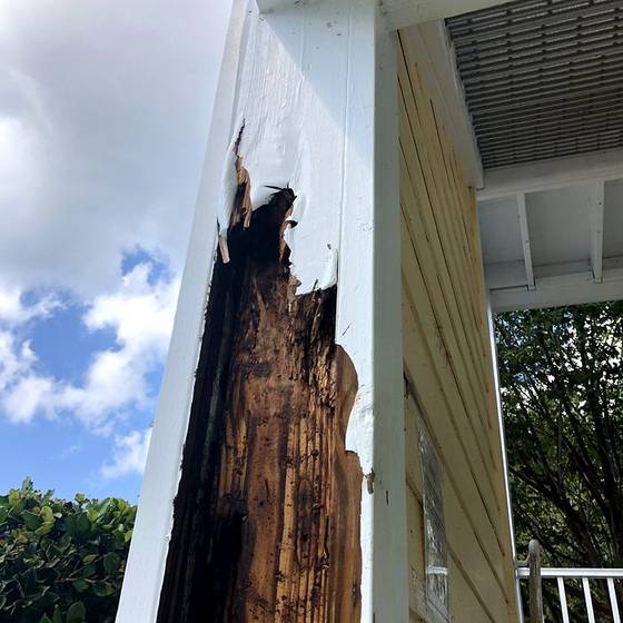Coastal Florida wood rot / moisture damage / repair project photo