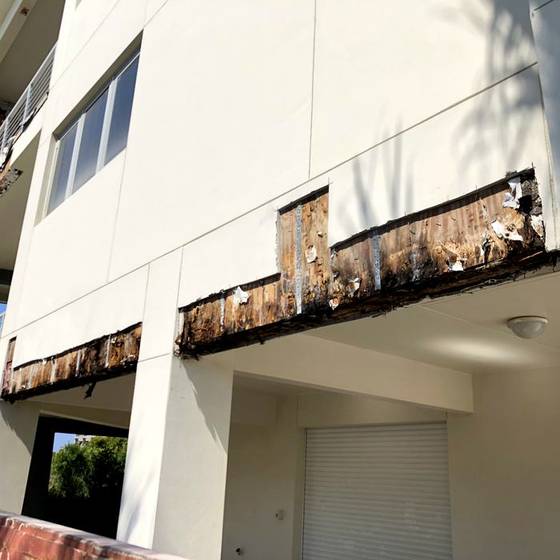 Coastal Florida wood rot / moisture damage / repair project photo