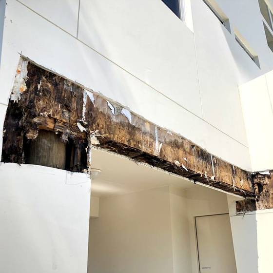 Coastal Florida wood rot / moisture damage / repair project photo