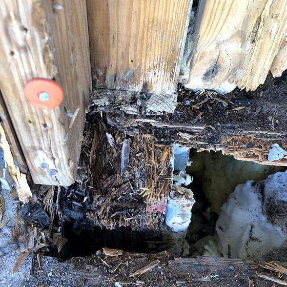Coastal Florida wood rot / moisture damage / repair project photo