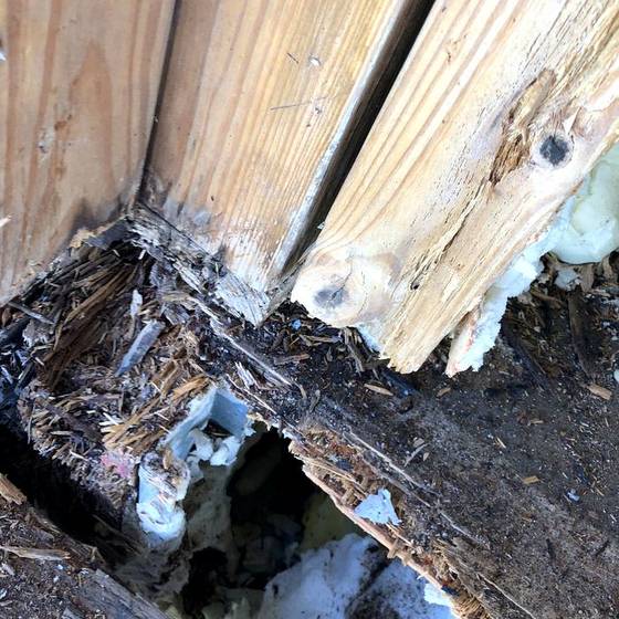 Coastal Florida wood rot / moisture damage / repair project photo