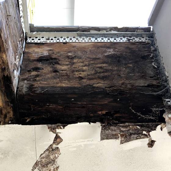 Coastal Florida wood rot / moisture damage / repair project photo