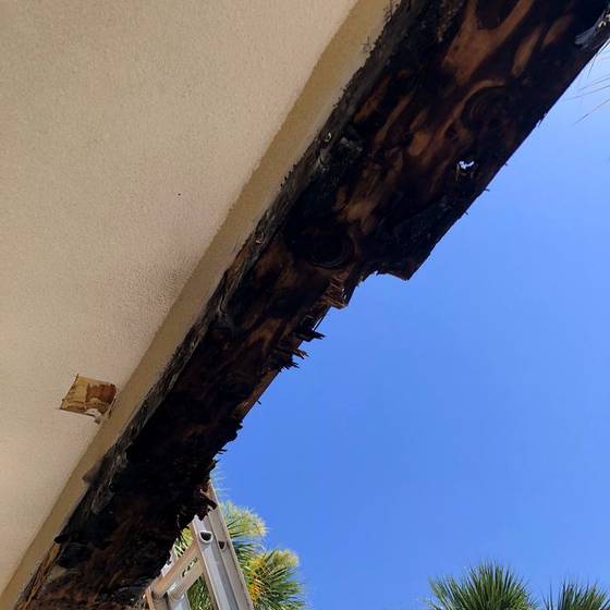 Coastal Florida wood rot / moisture damage / repair project photo