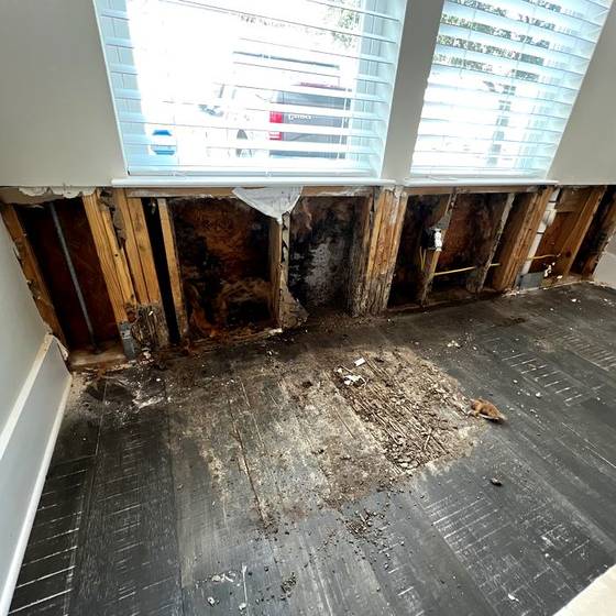 Coastal Florida wood rot / moisture damage / repair project photo