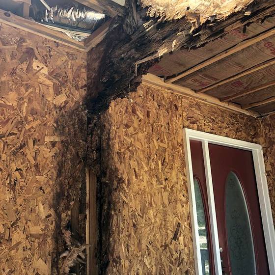 Coastal Florida wood rot / moisture damage / repair project photo