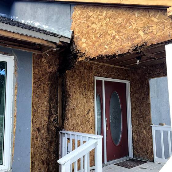 Coastal Florida wood rot / moisture damage / repair project photo