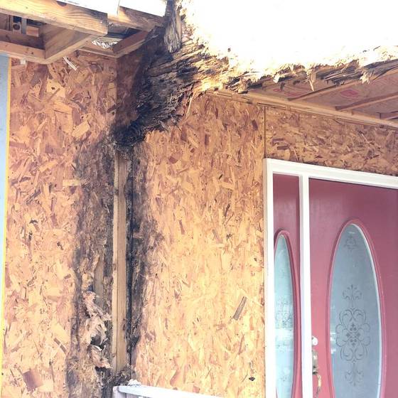 Coastal Florida wood rot / moisture damage / repair project photo