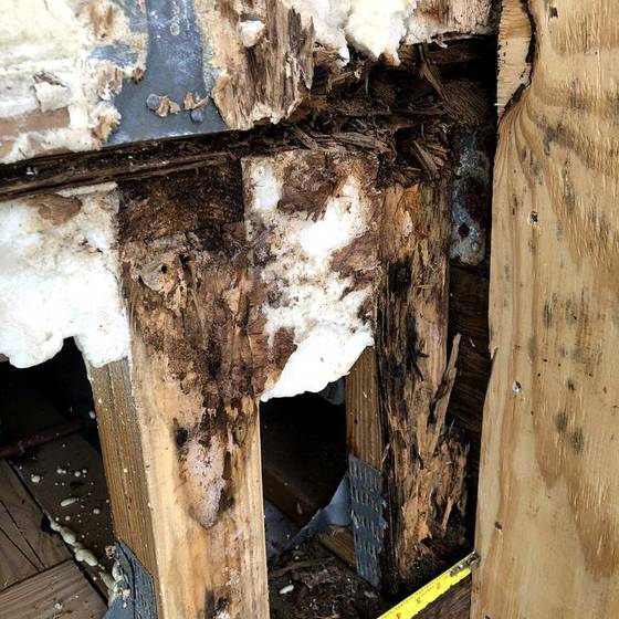 Coastal Florida wood rot / moisture damage / repair project photo