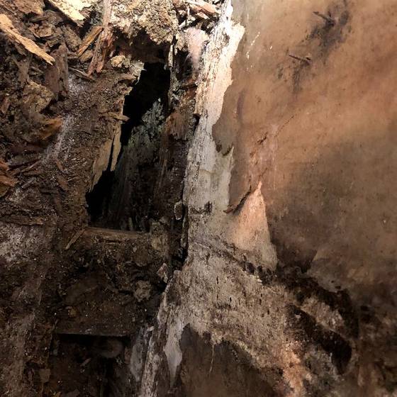 Coastal Florida wood rot / moisture damage / repair project photo