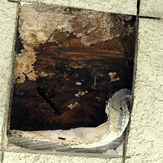 Coastal Florida wood rot / moisture damage / repair project photo