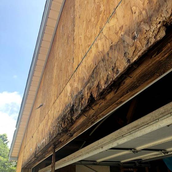 Coastal Florida wood rot / moisture damage / repair project photo