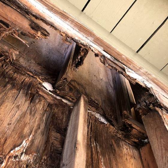 Coastal Florida wood rot / moisture damage / repair project photo