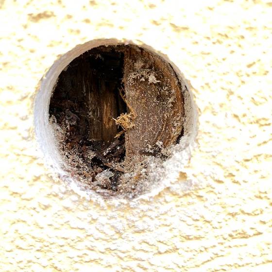Coastal Florida wood rot / moisture damage / repair project photo