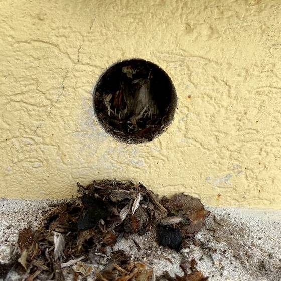 Coastal Florida wood rot / moisture damage / repair project photo